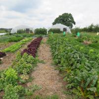 Jardin du Mont Pointu