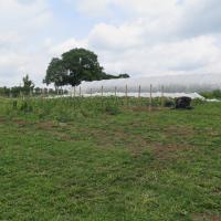 Jardin du Mont Pointu