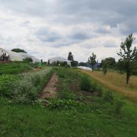 Jardin du Mont Pointu