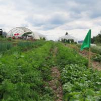 Jardin du Mont Pointu