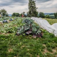 Jardin du Mont Pointu