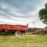 Jardin du Mont Pointu