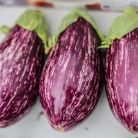 Jardin du Mont Pointu